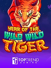 TopTrend Gaming image 7